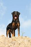 BEAUCERON 514